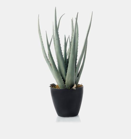 Artificial Aloa Vera Pot