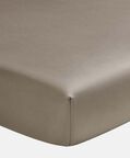 Ory Cotton Fitted Sheet