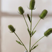 Edg Cardo Ramo Faux Branch, Green, Packshot View