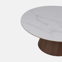 Home Deco and More Snow Walnut Ceramic Walnut Coffee Table, Packshot View