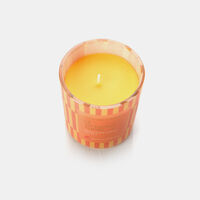 Picnic Melon Scented Candle-in-glass