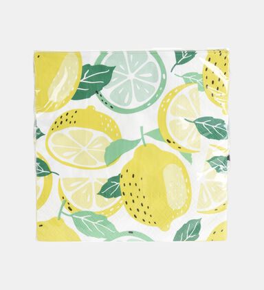 Watermelon 16-piece Napkins Set