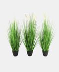 Poaceae Small Faux Pot Plant