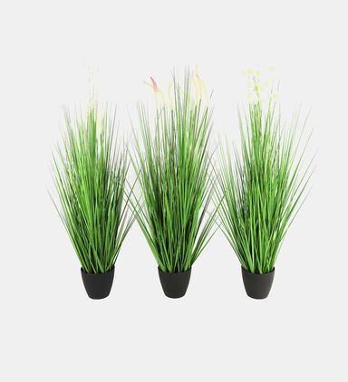 Poaceae Small Faux Pot Plant