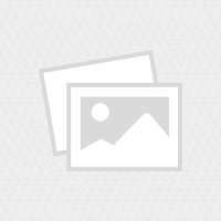 Birds Porcelain Dessert Plate